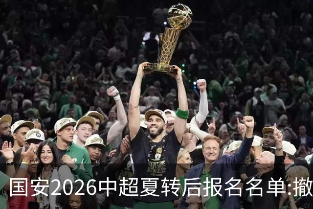 国安2026中超夏转后报名名单:撤下恩科洛洛 补报斯帕吉奇刘邵子洋